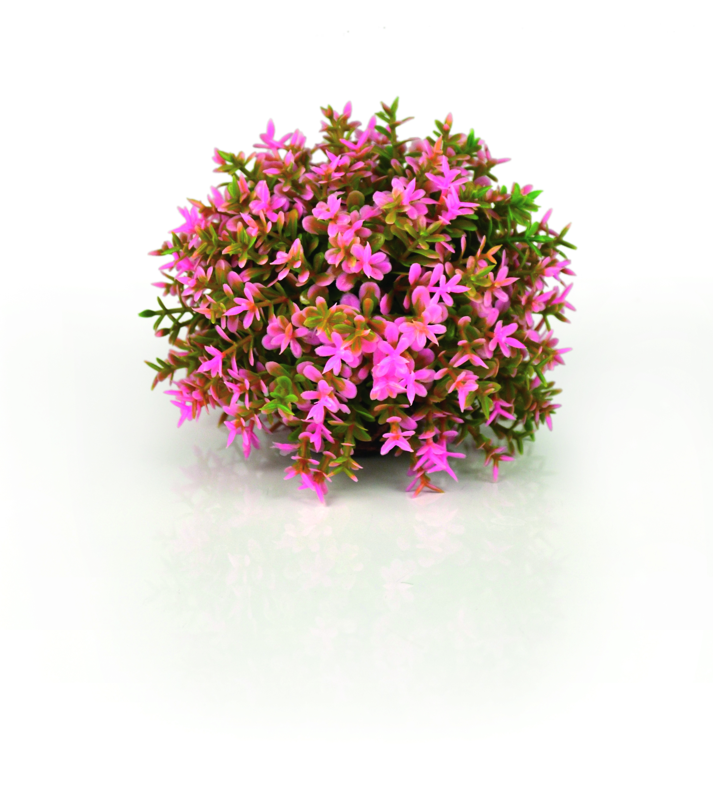 biOrb Blumenball pink (46088)