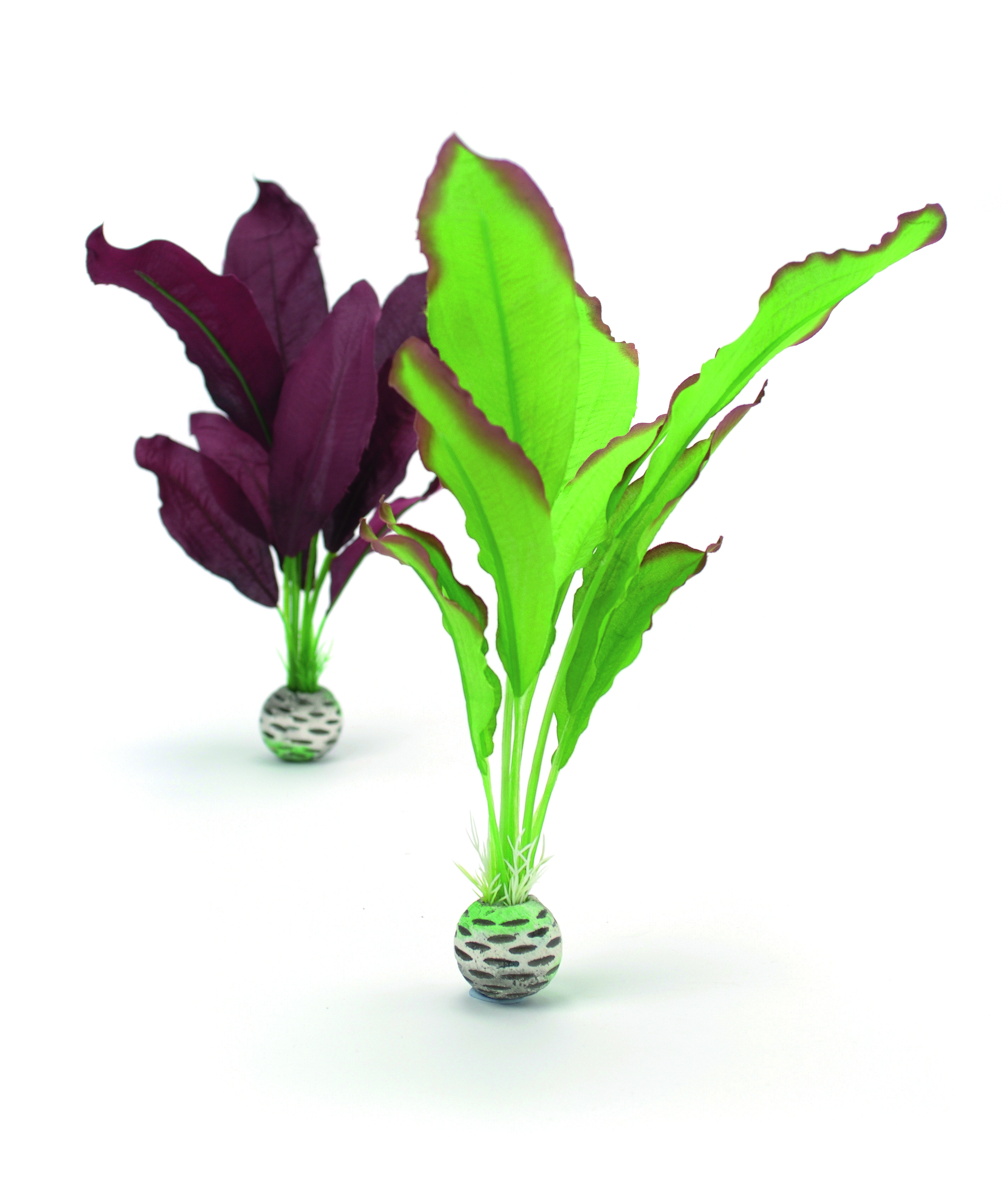 biOrb Seidenpflanzen Set mittel grün & lila (46101)