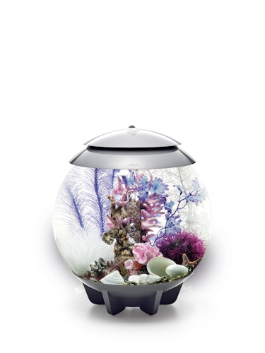 biOrb Decor Set 30L Pink Ocean (48444)