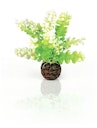 Vorschaubild biOrb Aquarien Caulerpa grün (46090)