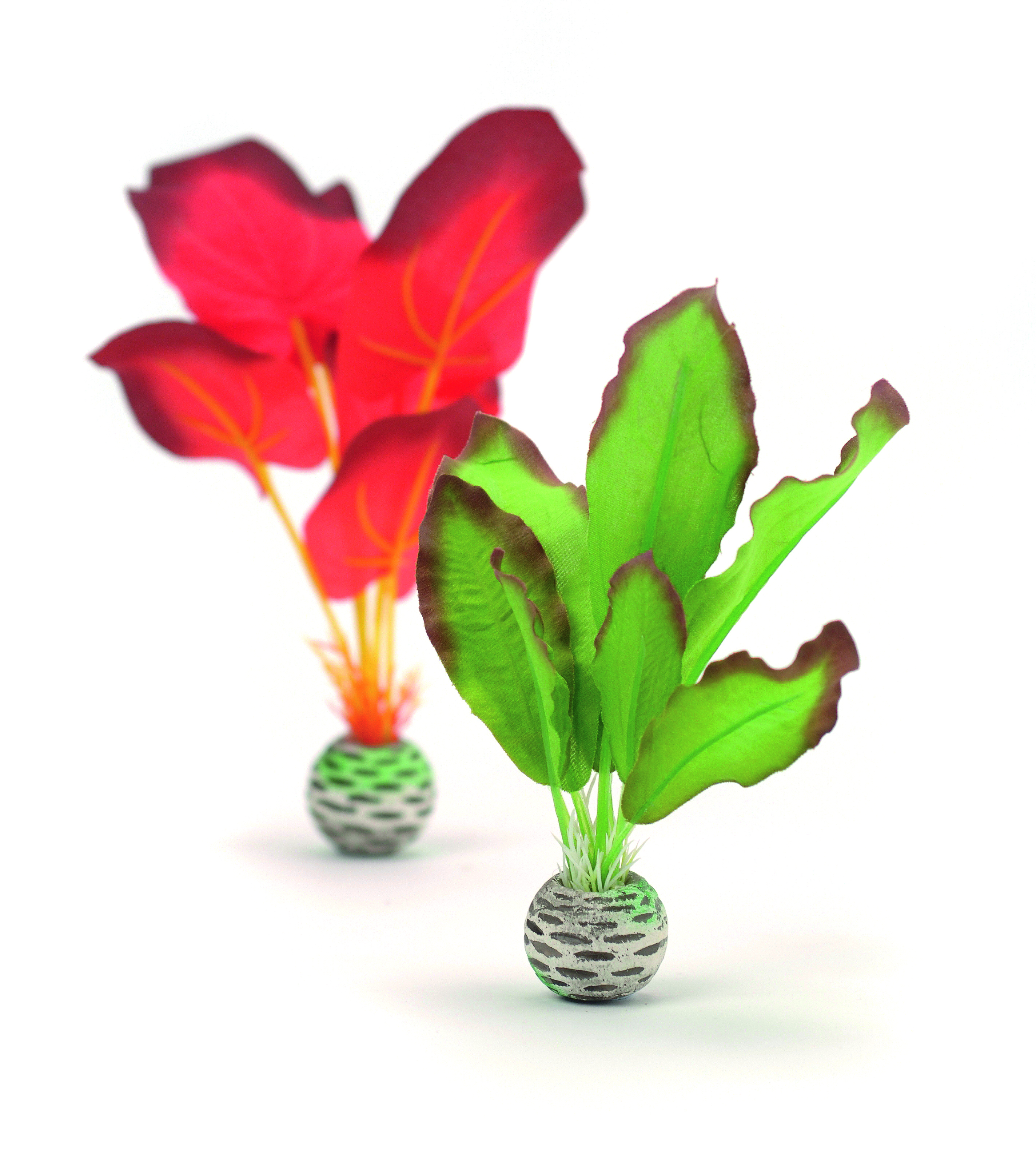 biOrb Seidenpflanzen Set klein grün und rot (46099)