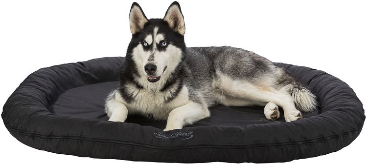 TRIXIE Kissen Samoa Classic, oval, schwarz