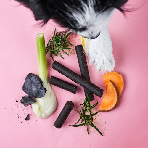 Tierliebhaber Darmwohl Sticks