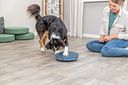 Vorschaubild TRIXIE Dog Activity Rocking Maze, Kunststoff, ø 28 cm