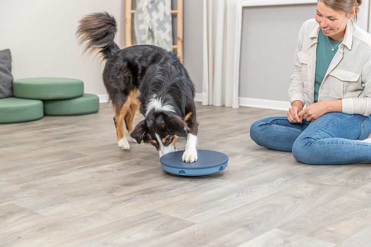 TRIXIE Dog Activity Rocking Maze, Kunststoff, ø 28 cm