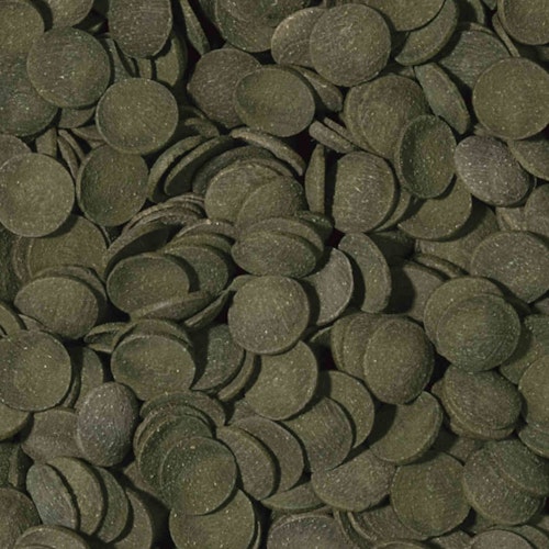 Tropical Green Algae Wafers Fischfutter