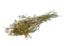 Vorschaubild JR FARM Ein Stück Natur Dill-Ernte 80g Kleintierfutter