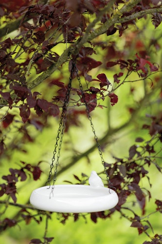 TRIXIE Vogeltränke hängend aus Keramik 0,5 Liter