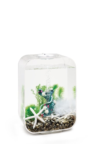 biOrb Decor Set 15L Flower Garden (48443)