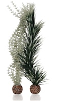 biOrb Ambulia grau/grün L (55072)