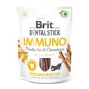 Brit DentalStick 