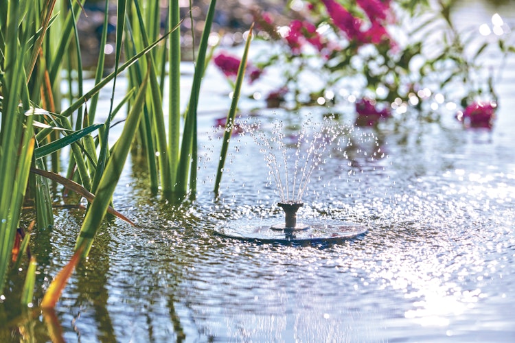 Pontec Solar-Fontäne PondoSolar LED Island