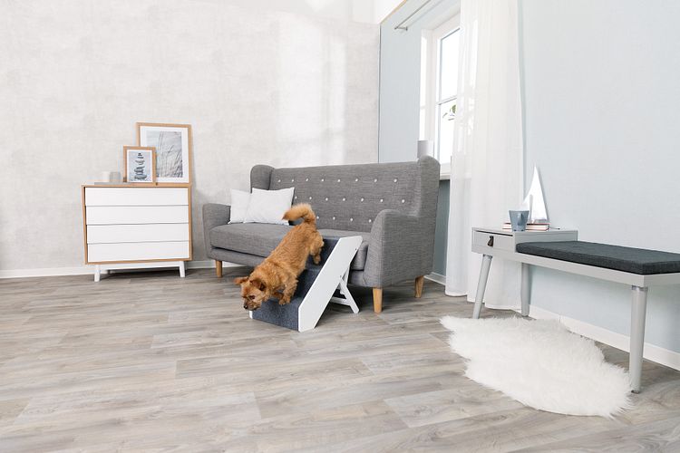 TRIXIE Treppe, höhenverstellbar, MDF, 40 × 47 × 67 cm, weiß