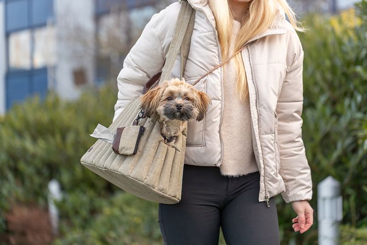 TRIXIE Tasche Sophie, 45 × 30 × 25 cm, olivgrün