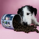 Vorschaubild Tierliebhaber Z-Snack