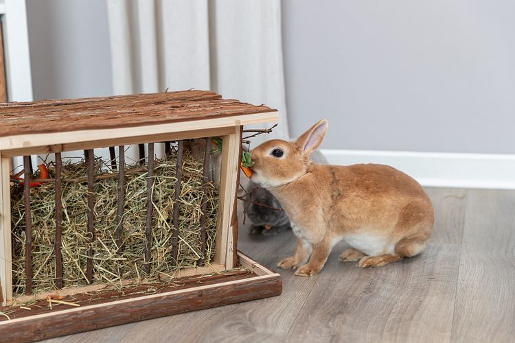 TRIXIE Heuraufe mit Boden und Dach, Rindenholz, 40 × 22 × 30 cm