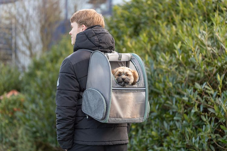 TRIXIE Rucksack Chloe, 39 × 43 × 27 cm, hellgrau