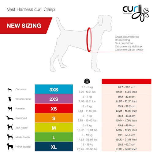 curli Clasp AirMesh Geschirr schwarz Hundegeschirr