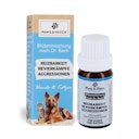 Vorschaubild Paws&Patch REIZBARKEIT Blütenmischung 10g