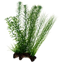 HOBBY Plant Flora Root 2 Aquarieneinrichtung