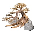 Vorschaubild DENNERLE Decor Box Bonsai Aquarieneinrichtung