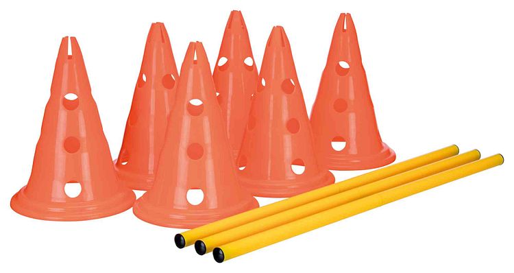 TRIXIE Pylonen-Hindernis-Set, 3 St., ø 23 × 30 cm/78 cm, orange/gelb