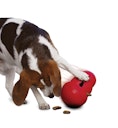 Vorschaubild KONG Wobbler S Hundespielzeug