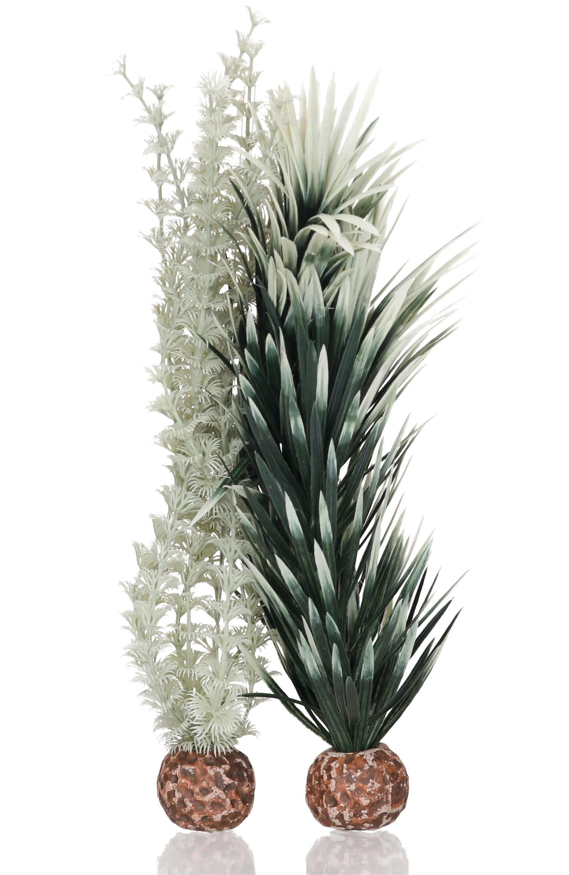 biOrb Ambulia grau/grün M (55071)