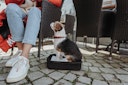 Vorschaubild HUNTER Flugtasche Rucksack Miles 30 x 22 x 45 Centimeter Hundetransport