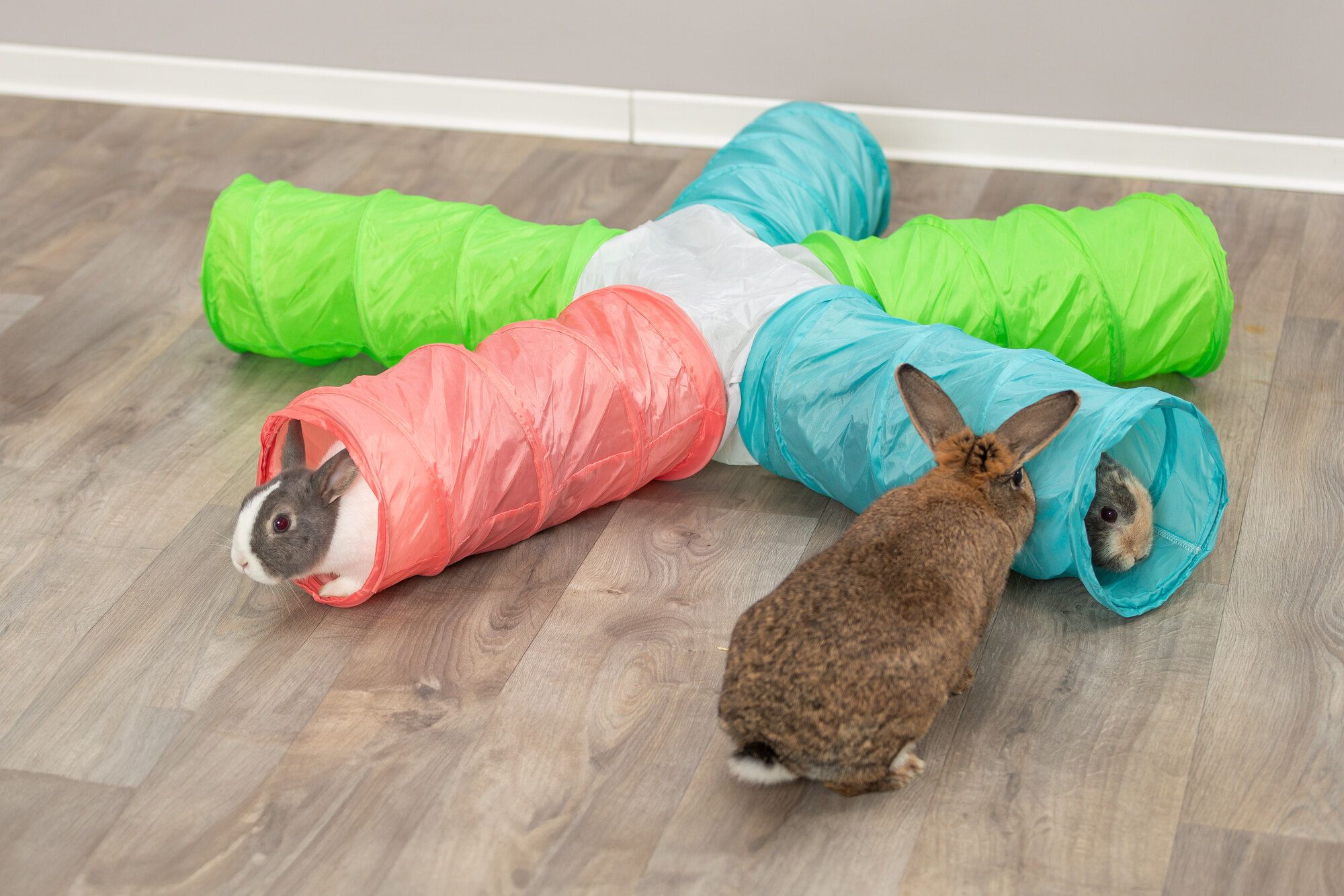 TRIXIE Spieltunnel 6 Ausgänge, erweiterbar, Zwergkan., 5 × ø 18 cm/47cm, diverse
