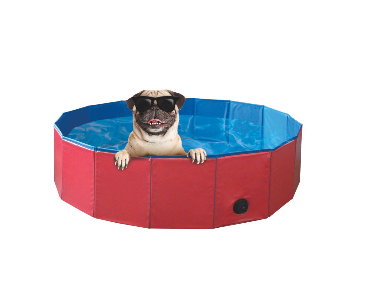 NOBBY Hundepool