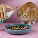 Vorschaubild Tierliebhaber Dentalspray für Katzen
