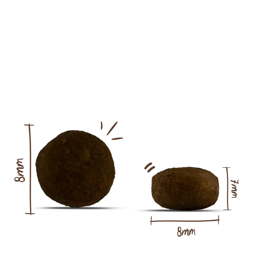 Bosch MENUE Mini Junior mit Tierwohl-Huhn 2,4kg 