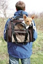 Vorschaubild TRIXIE Rucksack Shiva 41x30x21cm