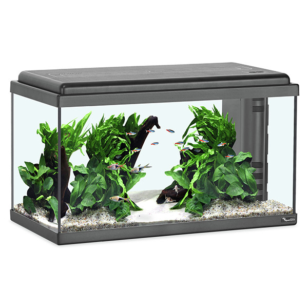 aquatlantis Advance 60 LED Set Aquarium Set