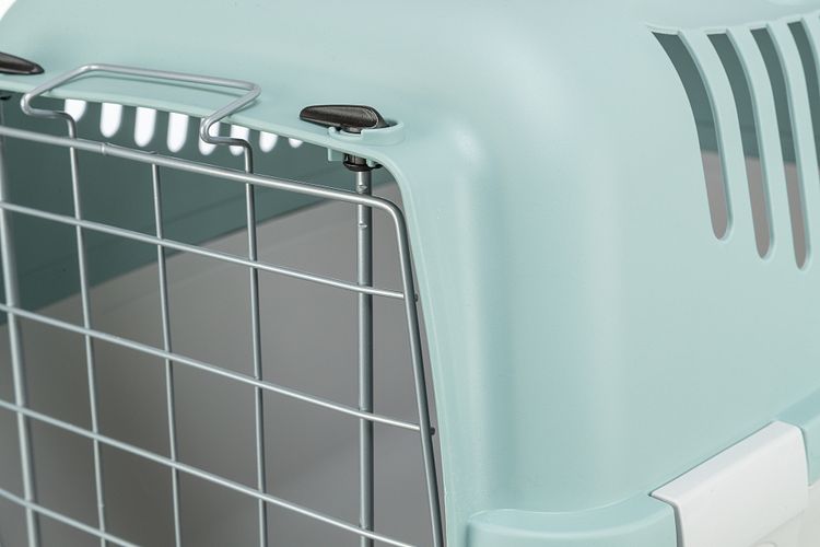 TRIXIE Transportbox Capri 3 Open Top, S: 40 × 38 × 61 cm, hellgrau/salbei