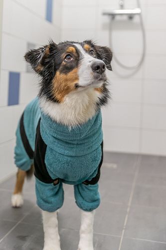 TRIXIE Bade- und Hausoverall für Hunde, Frottee, petrol