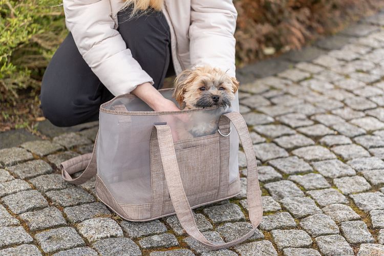 TRIXIE Tasche Sophie, 45 × 30 × 25 cm, olivgrün