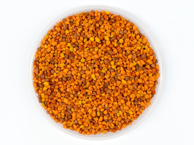 OK Farbkies Sommer 2-3 mm 5kg