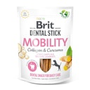 Brit DentalStick 