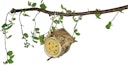 Vorschaubild JR FARM Peanut Pot Erdnusshütte für Wildvögel inklusive Nachfüller