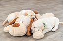 Vorschaubild TRIXIE Ankuschelhund Benny, Plüsch, 75 cm, beige/braun
