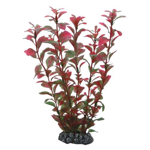 HOBBY Plant Ludwigia Aquarieneinrichtung
