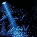 Vorschaubild HOBBY Bubble Air Spot Aquarienbeleuchtung
