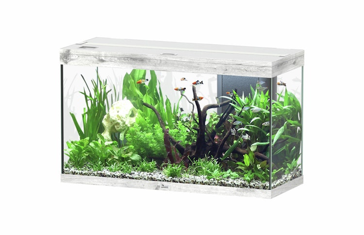 Aquatlantis Splendid 200 Aquarium-Set