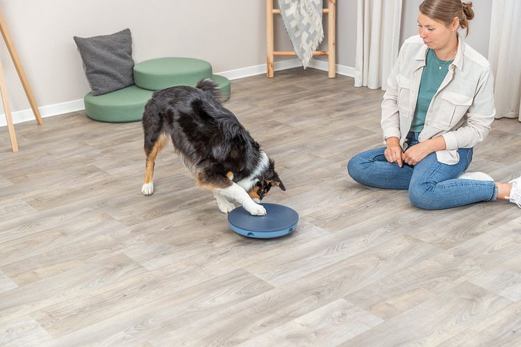 TRIXIE Dog Activity Rocking Maze, Kunststoff, ø 28 cm