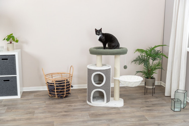 TRIXIE Kratzbaum Dante