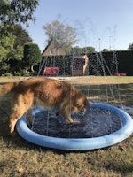 NOBBY Splash Pool Ø 150 cm