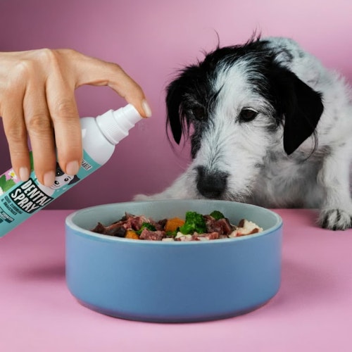 Tierliebhaber Dentalspray für Hunde