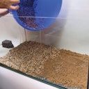 Vorschaubild JBL PROFLORA AquaBasis plus 5l